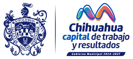 Chihuahua Capital de Trabajo y Resultados